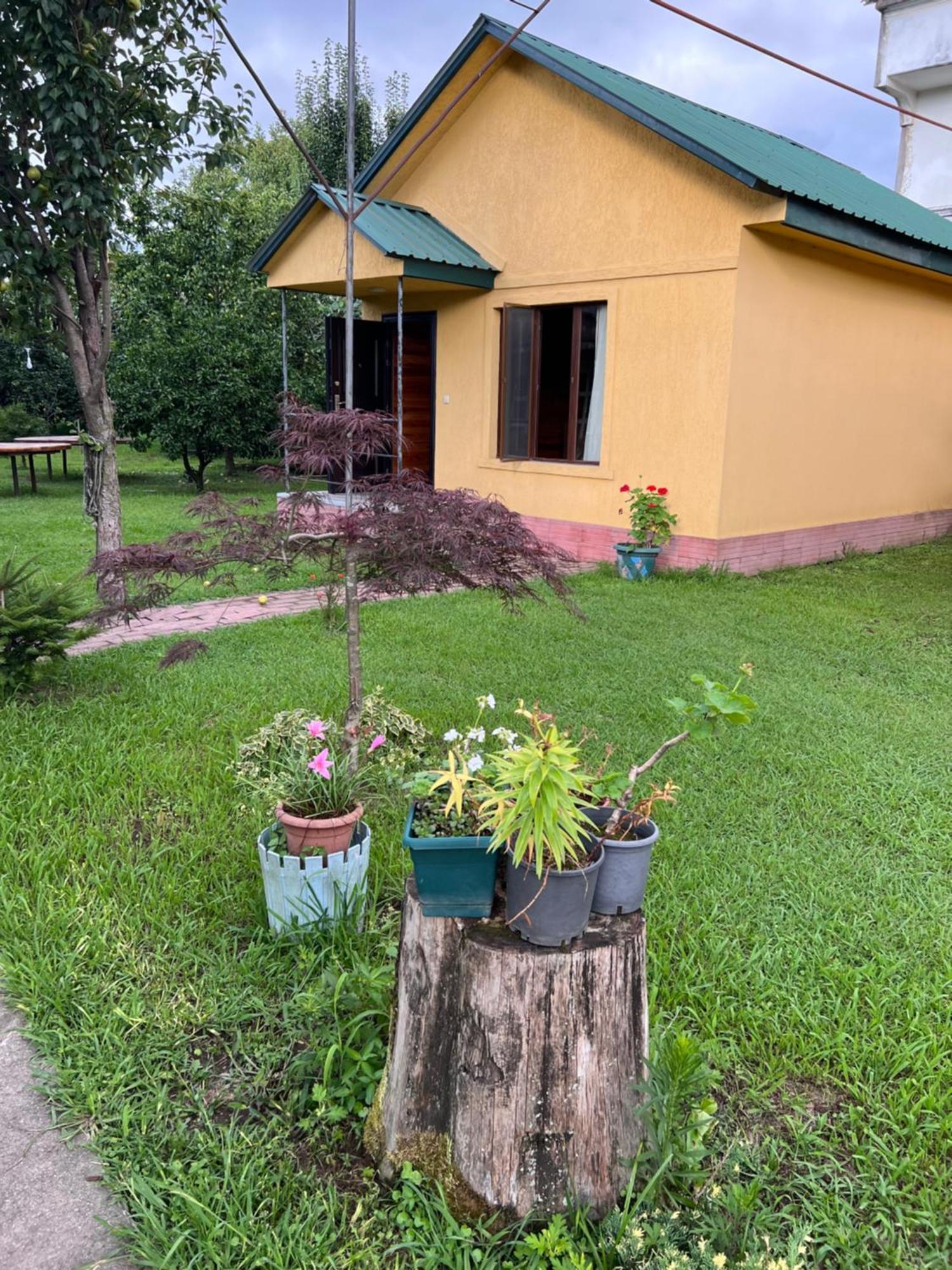 Senima'S Paradise Batumi Exterior photo